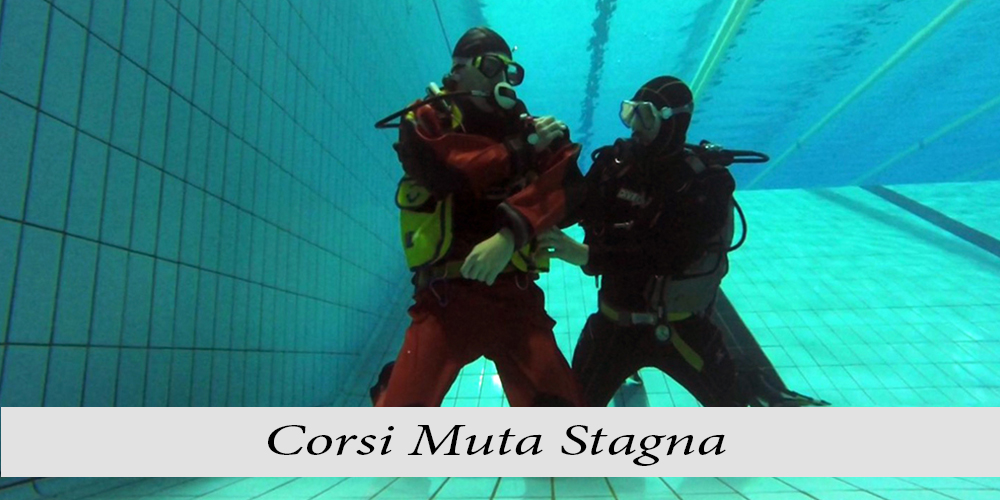Muta-stagna_c
